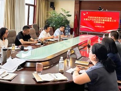 天津咨詢召開全面從嚴(yán)治黨及黨風(fēng)廉政建設(shè)工作年中推動(dòng)會